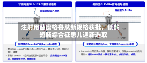 注射用替度格鲁肽新规格获批，低龄短肠综合征患儿迎新选取-第2张图片