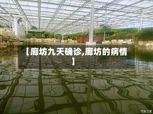 【廊坊九天确诊,廊坊的病情】