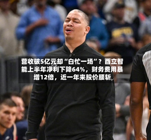 营收破5亿元却“白忙一场”？酉立智能上半年净利下降64%，财务费用暴增12倍	，近一年来股价腰斩-第2张图片