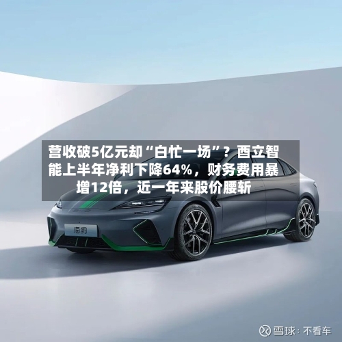 营收破5亿元却“白忙一场”？酉立智能上半年净利下降64%，财务费用暴增12倍	，近一年来股价腰斩-第3张图片