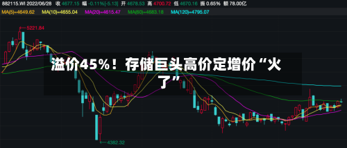 溢价45%！存储巨头高价定增价“火了	”-第2张图片