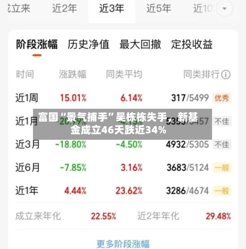 富国“景气捕手”吴栋栋失手，新基金成立46天跌近34%-第3张图片