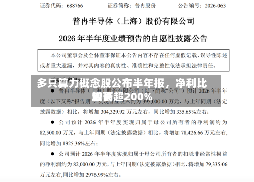 多只算力概念股公布半年报，净利比较高增长超200%-第2张图片