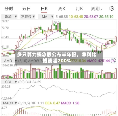 多只算力概念股公布半年报，净利比较高增长超200%-第3张图片