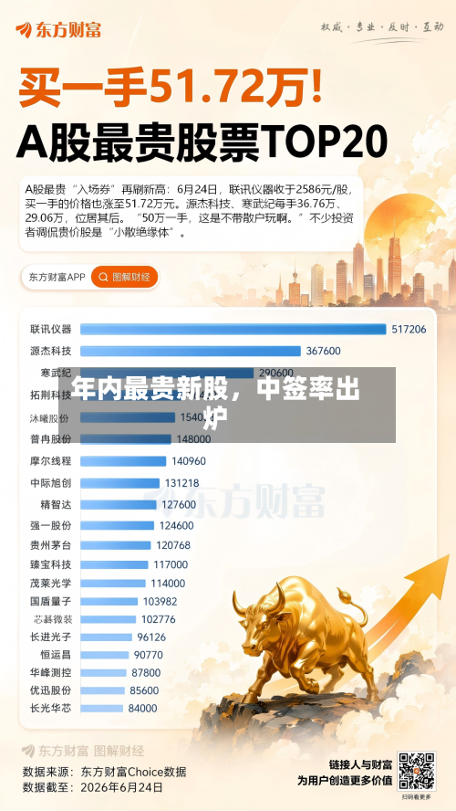 年内最贵新股，中签率出炉-第3张图片