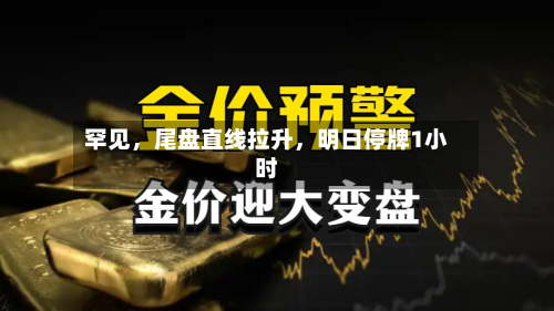罕见，尾盘直线拉升	，明日停牌1小时-第3张图片