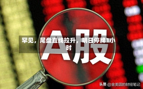 罕见，尾盘直线拉升，明日停牌1小时-第2张图片
