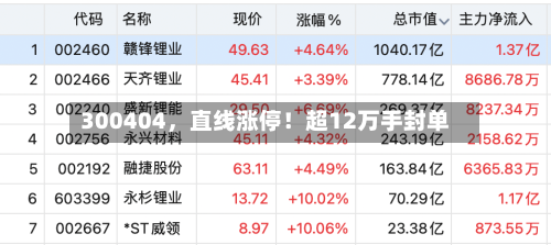 300404，直线涨停！超12万手封单-第3张图片