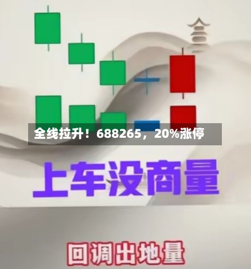 全线拉升！688265	，20%涨停-第2张图片