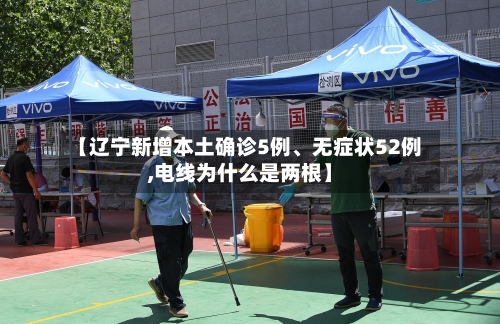 【辽宁新增本土确诊5例、无症状52例,电线为什么是两根】-第2张图片