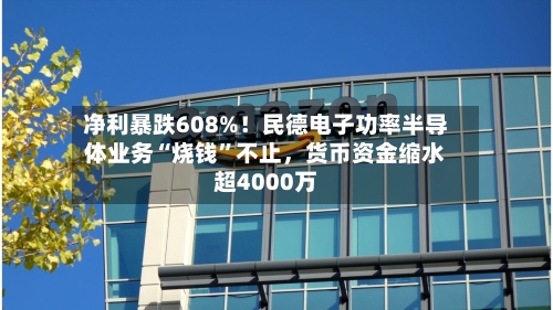 净利暴跌608%！民德电子功率半导体业务“烧钱”不止，货币资金缩水超4000万-第2张图片