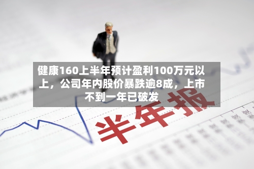 健康160上半年预计盈利100万元以上	，公司年内股价暴跌逾8成，上市不到一年已破发-第2张图片