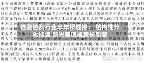 检验检测行业半年报透视: 结构性分化持续 新兴赛道成增长引擎-第2张图片