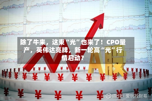 除了牛来，这束“光”也来了！CPO量产，英伟达亮牌，新一轮高“光”行情启动？