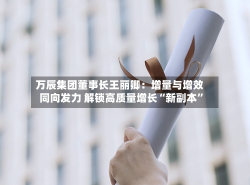 万辰集团董事长王丽卿：增量与增效同向发力 解锁高质量增长“新副本	”-第2张图片