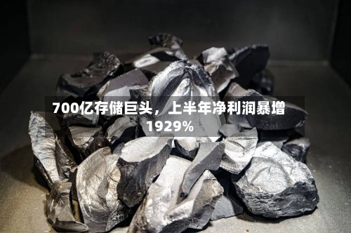 700亿存储巨头	，上半年净利润暴增1929%-第2张图片