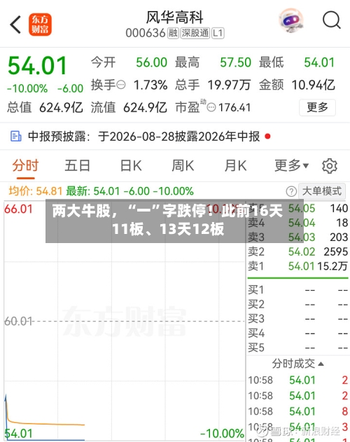 两大牛股	，“一”字跌停！此前16天11板	、13天12板-第3张图片