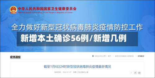 新增本土确诊56例/新增几例-第3张图片