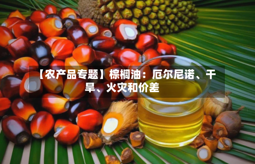 【农产品专题】棕榈油：厄尔尼诺、干旱	、火灾和价差-第3张图片