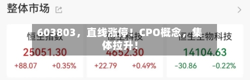 603803	，直线涨停！CPO概念，集体拉升！-第2张图片