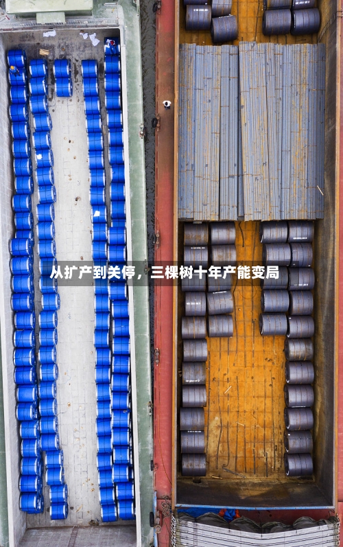 从扩产到关停	，三棵树十年产能变局-第2张图片