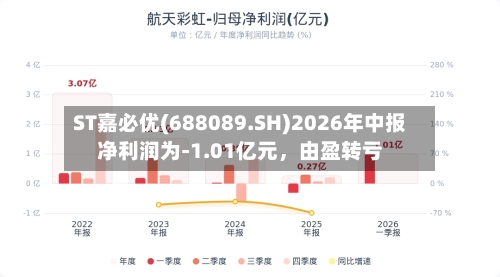 ST嘉必优(688089.SH)2026年中报净利润为-1.01亿元	，由盈转亏-第2张图片