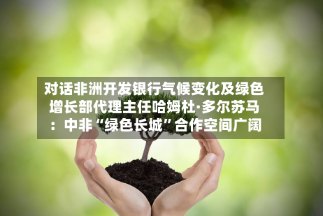 对话非洲开发银行气候变化及绿色增长部代理主任哈姆杜·多尔苏马：中非“绿色长城”合作空间广阔-第3张图片