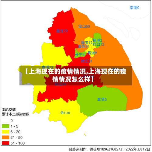 【上海现在的疫情情况,上海现在的疫情情况怎么样】