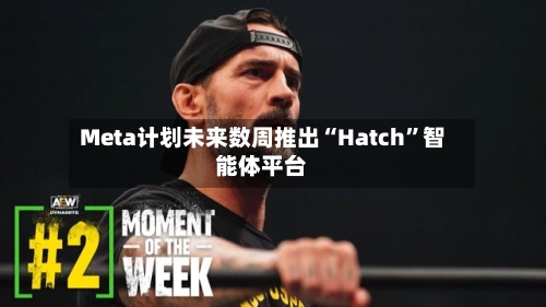 Meta计划未来数周推出“Hatch	”智能体平台-第2张图片