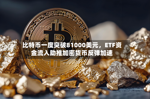 比特币一度突破81000美元，ETF资金流入助推加密货币反弹加速-第2张图片