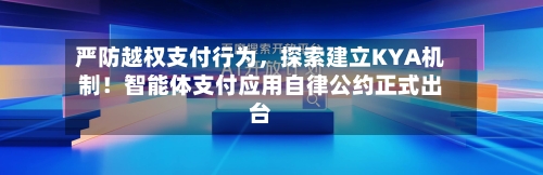 严防越权支付行为	，探索建立KYA机制！智能体支付应用自律公约正式出台-第2张图片