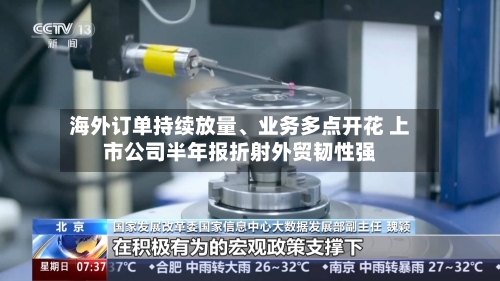 海外订单持续放量、业务多点开花 上市公司半年报折射外贸韧性强-第2张图片