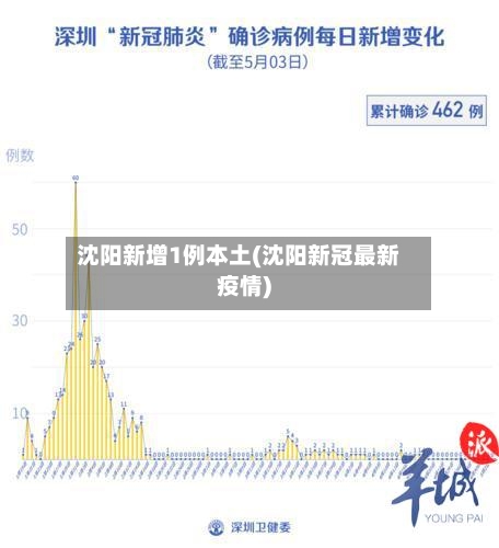沈阳新增1例本土(沈阳新冠最新疫情)-第2张图片