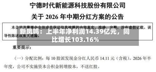 新凤鸣：上半年净利润14.39亿元，同比增长103.16%-第2张图片