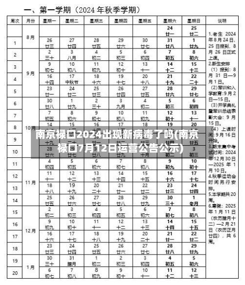 南京禄口2024出现新病毒了吗(南京禄口7月12日运营公告公示)-第2张图片