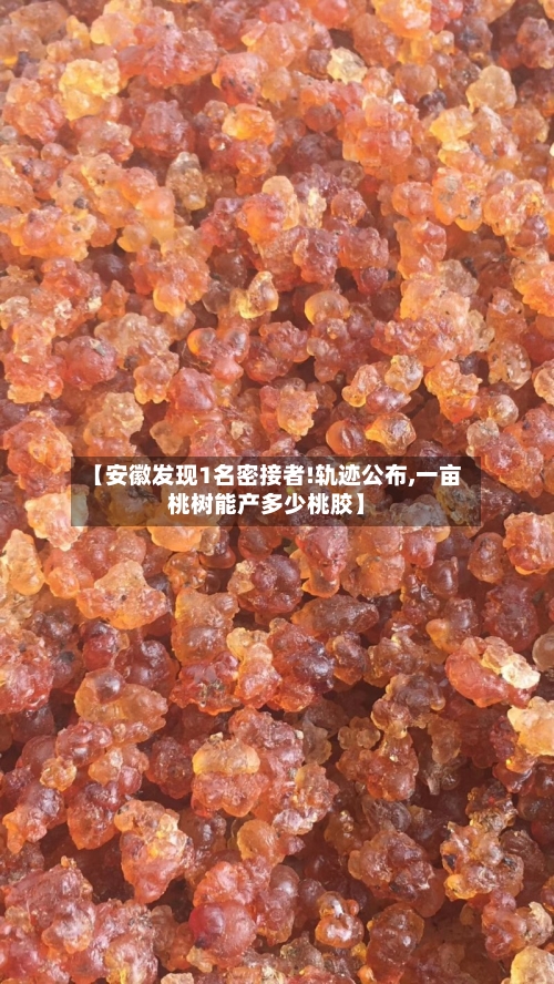 【安徽发现1名密接者!轨迹公布,一亩桃树能产多少桃胶】-第2张图片