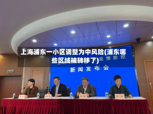 上海浦东一小区调整为中风险(浦东哪些区域被转移了)-第2张图片