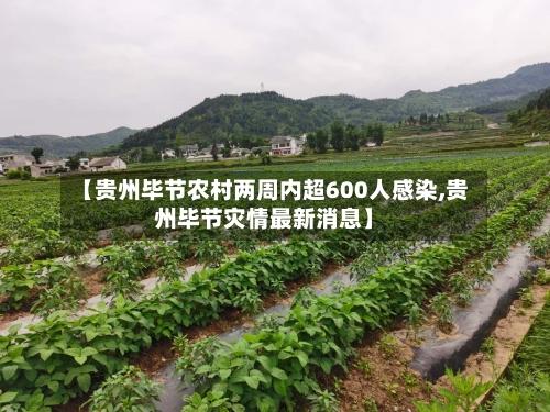 【贵州毕节农村两周内超600人感染,贵州毕节灾情最新消息】