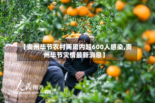 【贵州毕节农村两周内超600人感染,贵州毕节灾情最新消息】-第2张图片