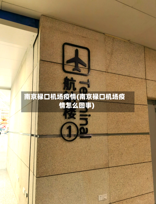 南京禄口机场疫情(南京禄口机场疫情怎么回事)-第3张图片