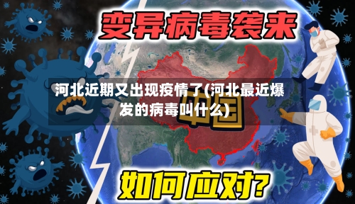 河北近期又出现疫情了(河北最近爆发的病毒叫什么)-第2张图片