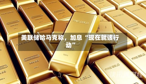 美联储哈马克称	，加息 “现在就该行动	”-第2张图片