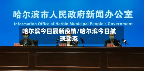 哈尔滨今日最新疫情/哈尔滨今日航班动态-第3张图片