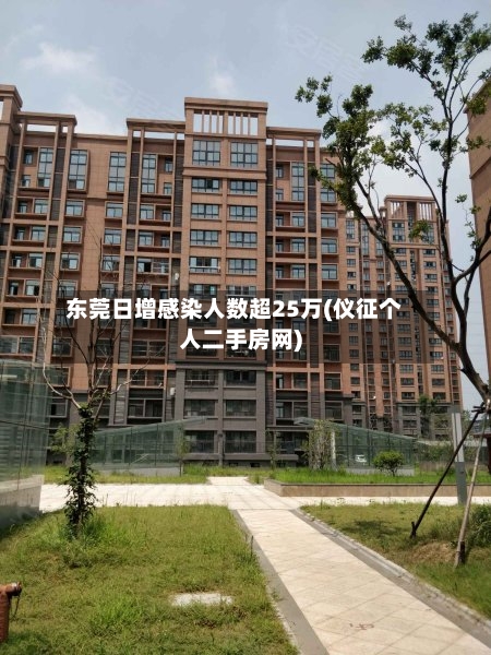 东莞日增感染人数超25万(仪征个人二手房网)-第2张图片