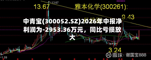 中青宝(300052.SZ)2026年中报净利润为-2953.36万元，同比亏损放大-第2张图片
