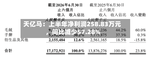 天亿马：上半年净利润258.83万元	，同比减少57.28%-第2张图片