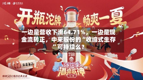 一边是营收下滑64.71%	，一边是现金流转正，中来股份的“收缩式生存”可持续么？-第2张图片