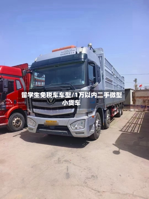 留学生免税车车型/1万以内二手微型小货车