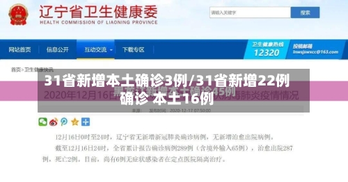 31省新增本土确诊3例/31省新增22例确诊 本土16例