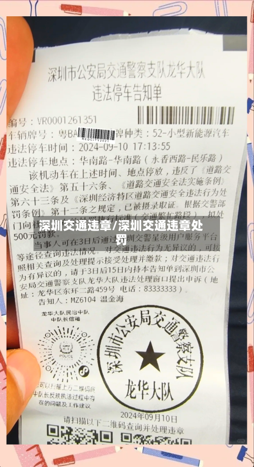 深圳交通违章/深圳交通违章处罚-第2张图片